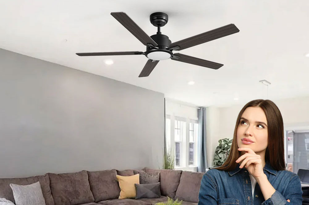 Ceiling Fan Installation Service